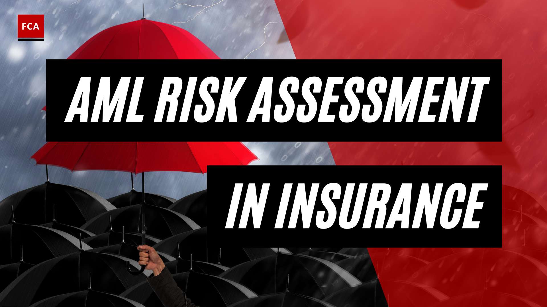 Unmasking Hidden Risks: Unraveling Aml Risk Assessment In Insurance