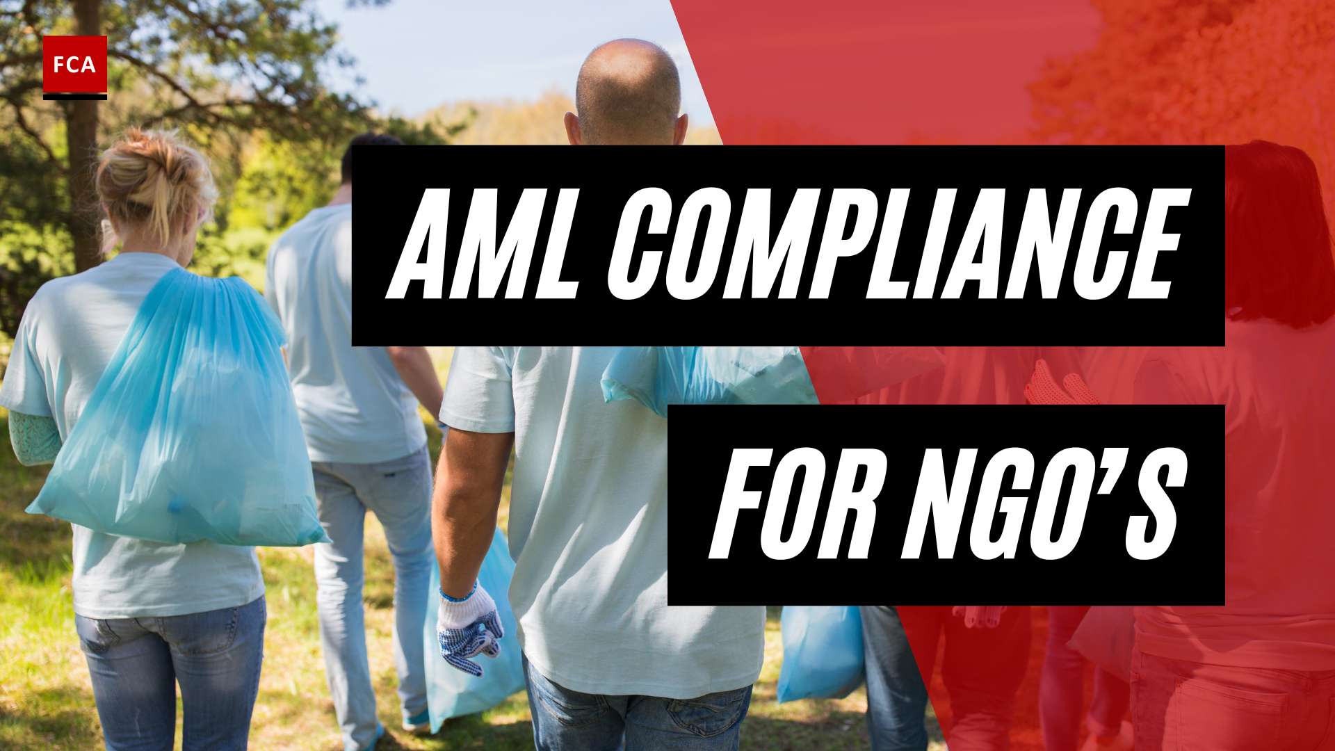 Ensuring Transparency: Aml Compliance For Ngos Made Easy