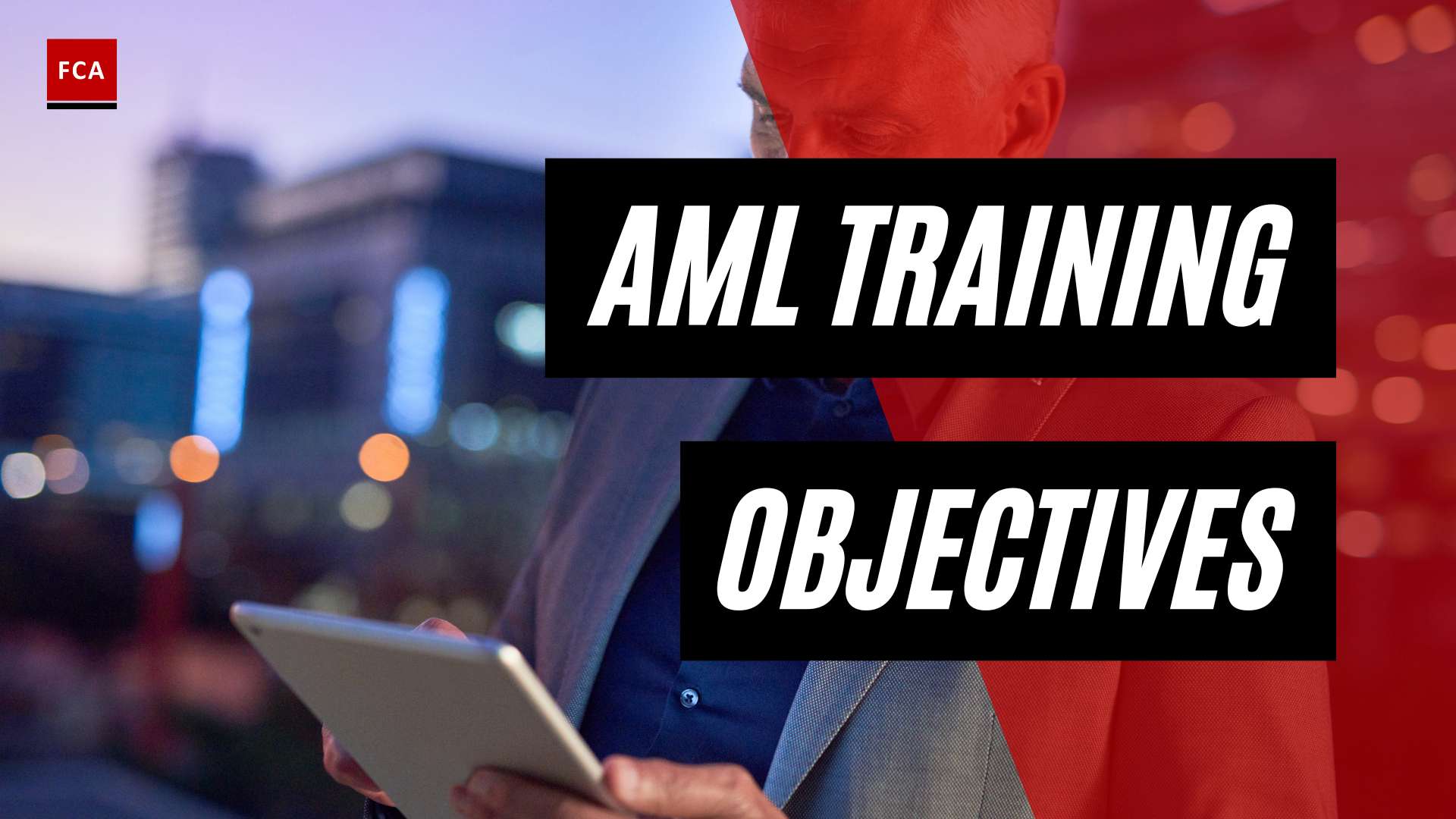 Empowering Professionals: Aml Training Program Objectives Explored