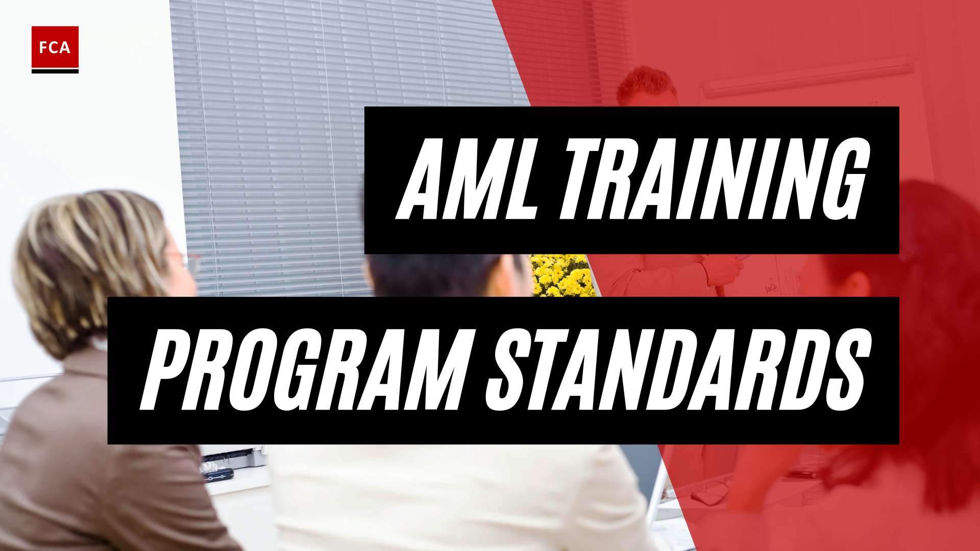 Staying Ahead Of The Curve: Evolving Aml Training Program Standards