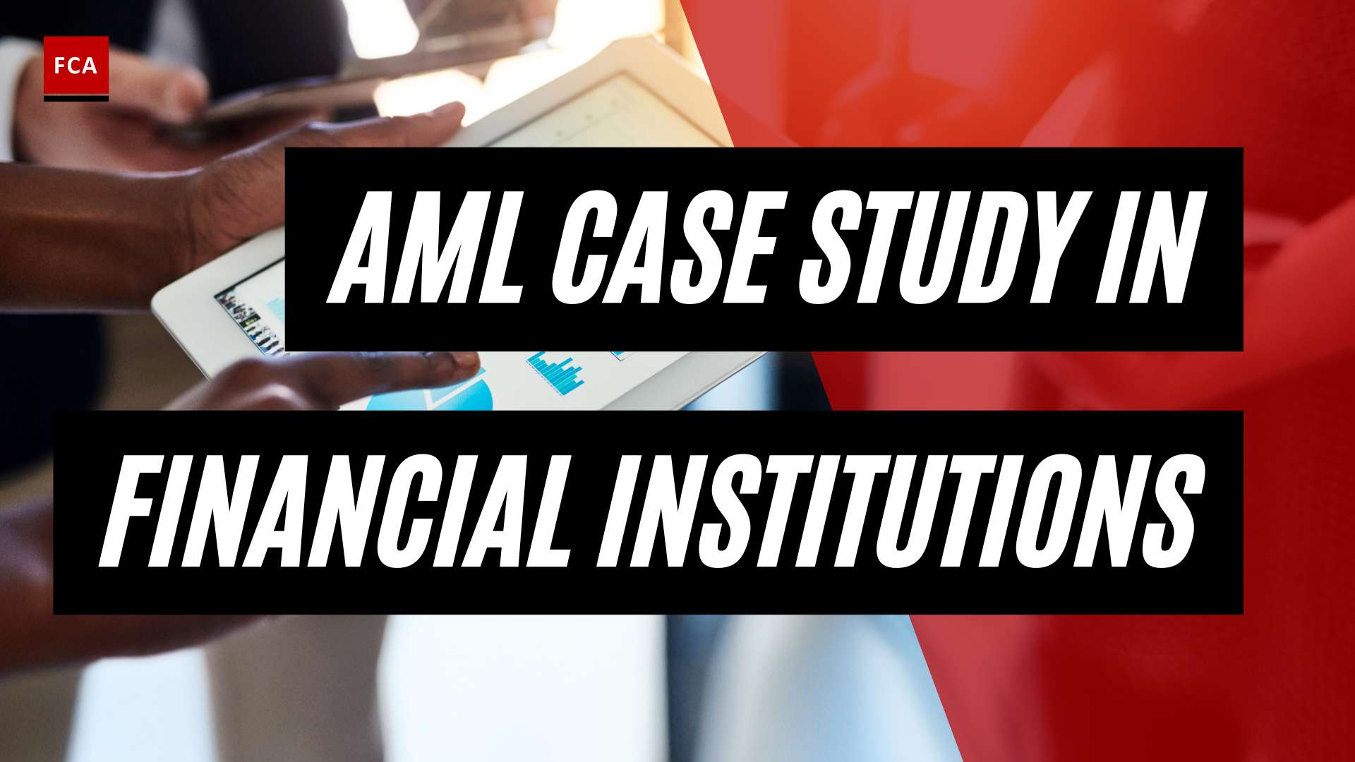 From Theory To Practice: Aml Case Studies In Real Financial Institutions