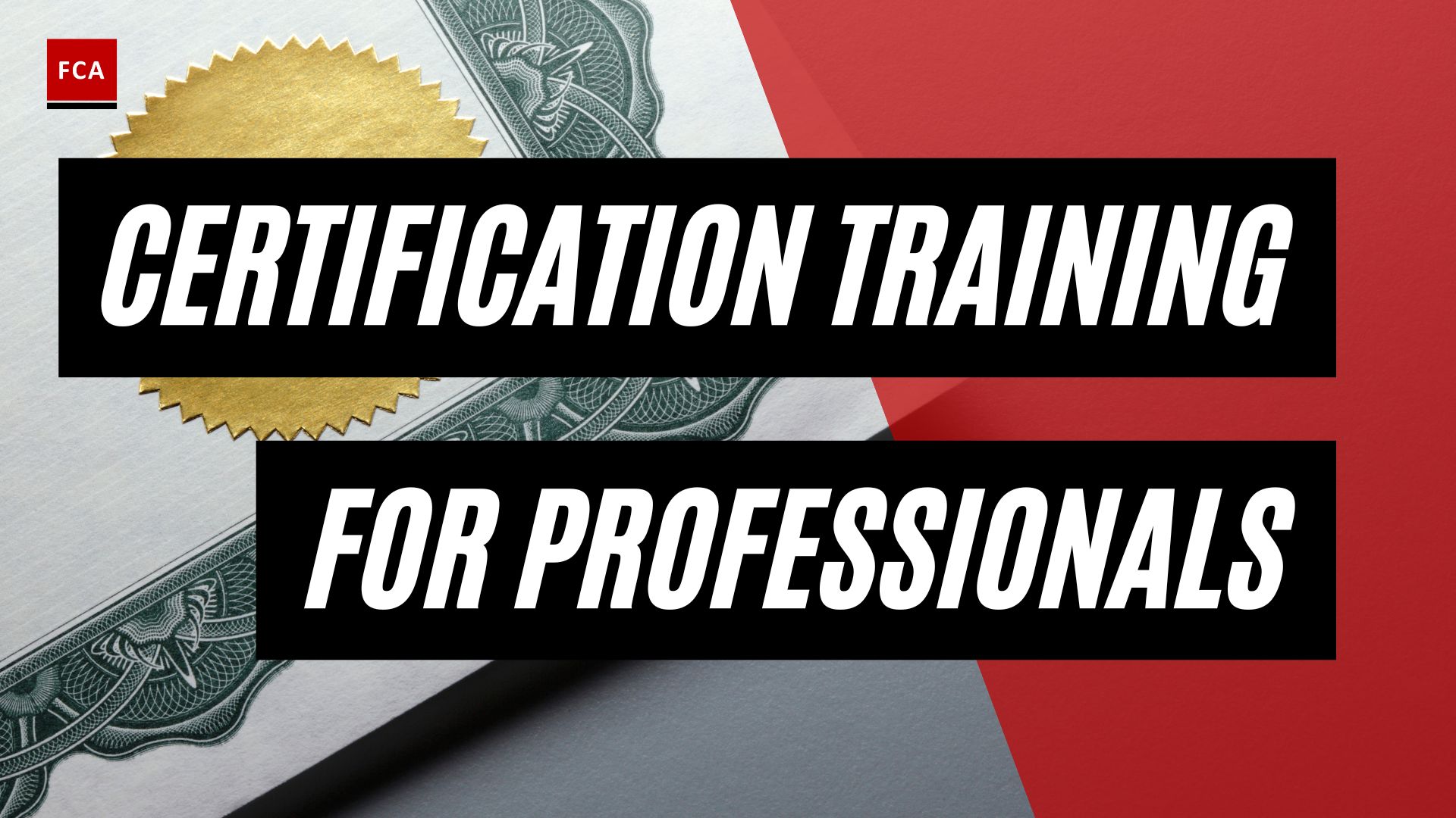 Empower Your Career: Aml Certification Training For Professionals