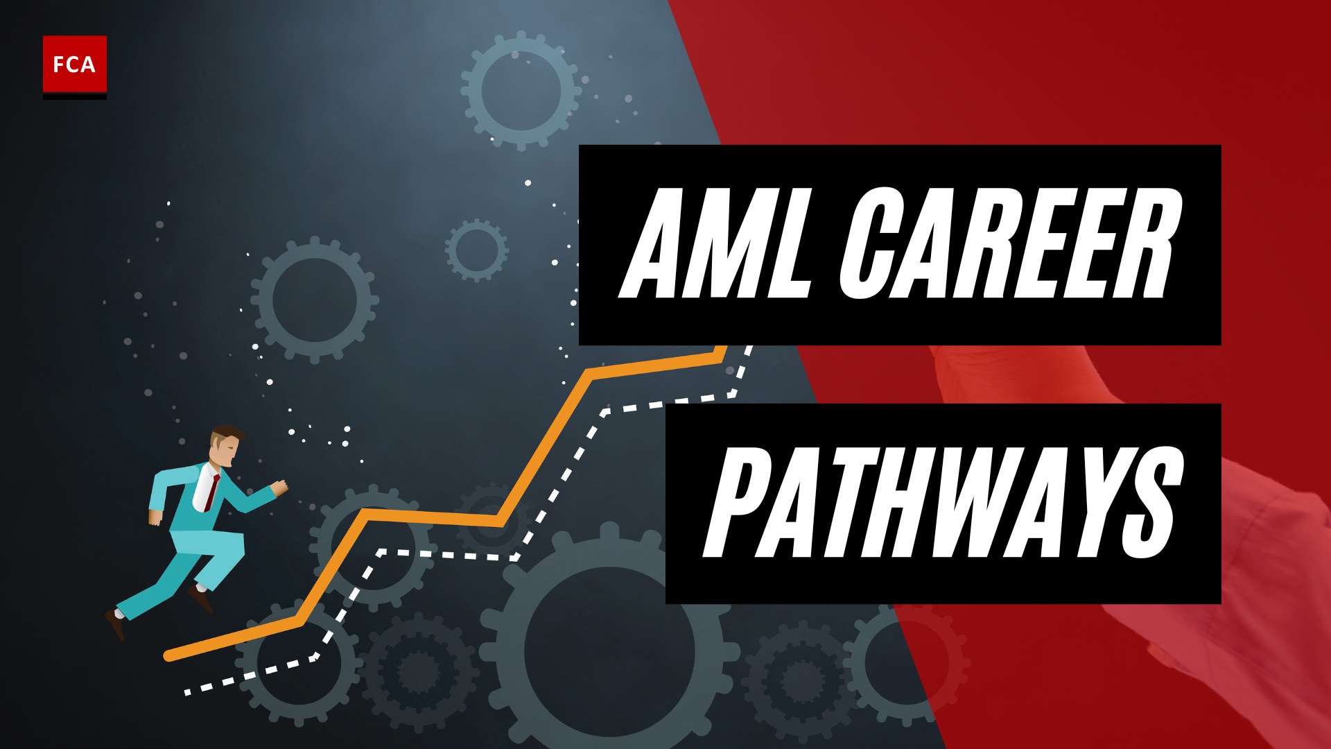 From Novice To Expert: Mapping Out Aml Career Pathways