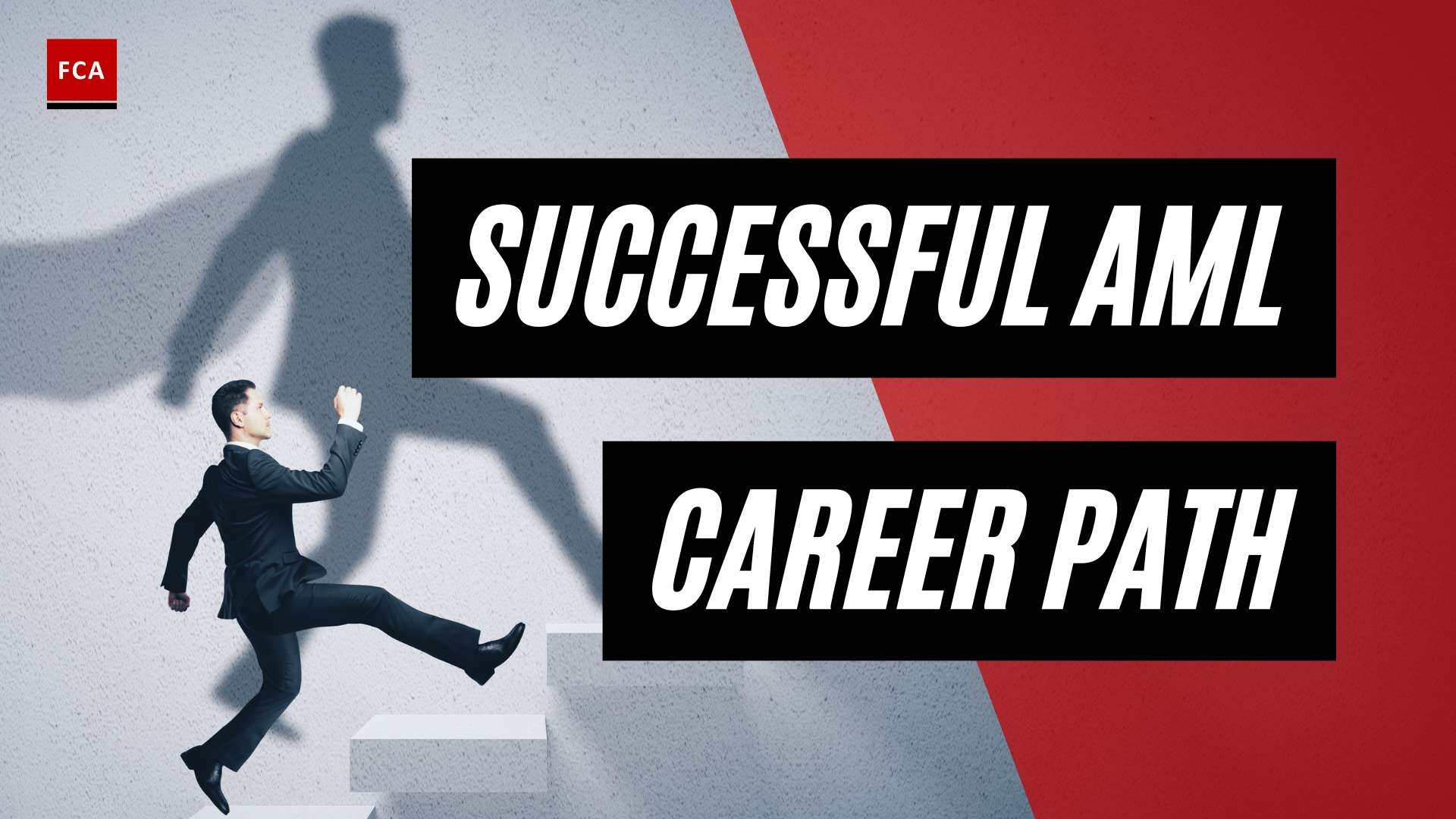 Navigating The Path: Building A Successful Aml Compliance Officer Career
