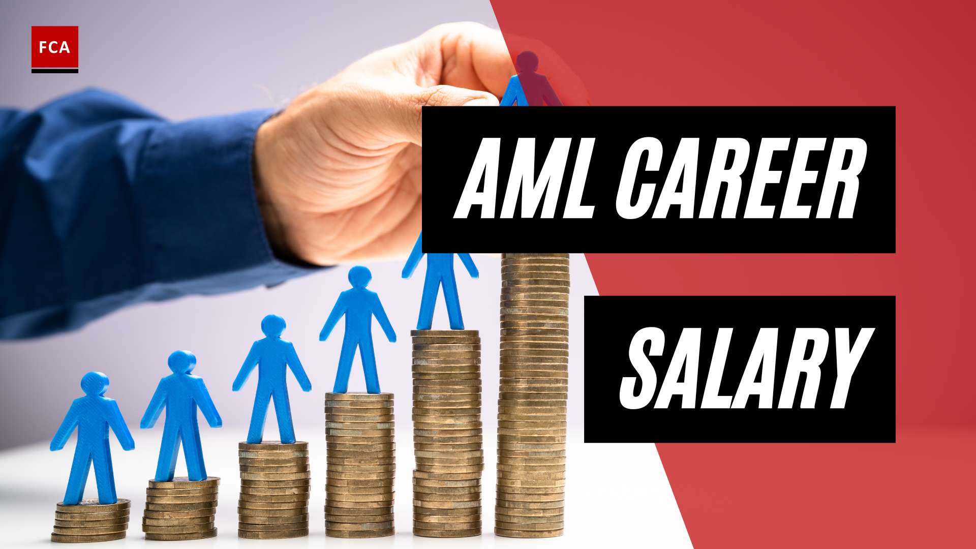 Unveiling The Secrets: Aml Career Salary Revealed