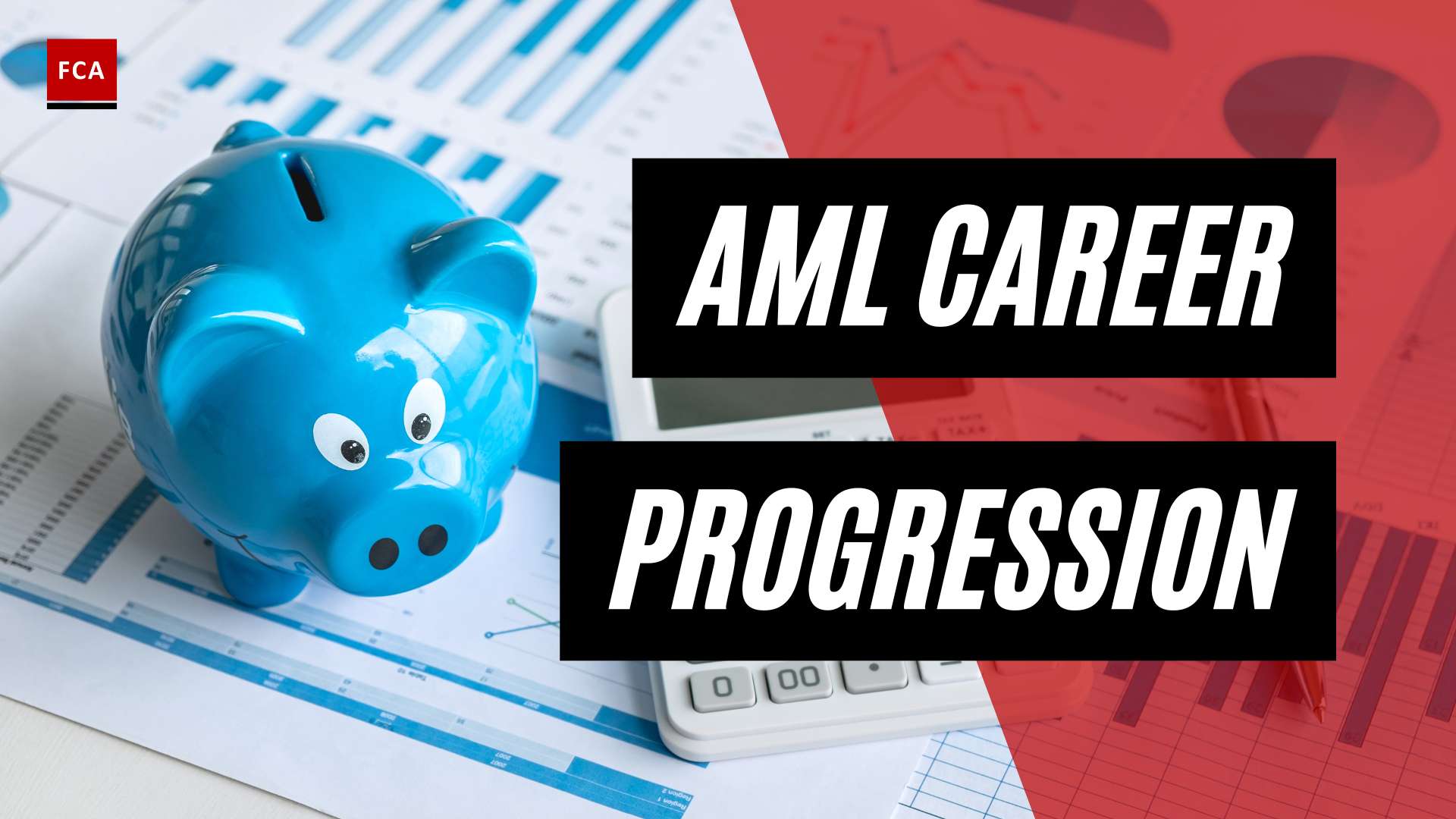 Mastering The Journey: A Deep Dive Into Aml Career Progression