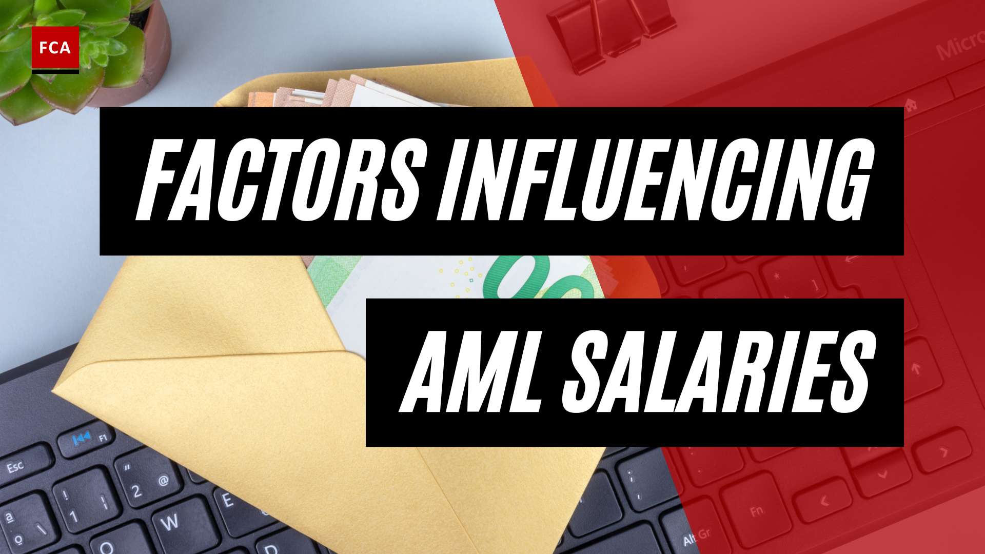 From Entry-Level To Executive: Aml Salary Guide For Career Advancement